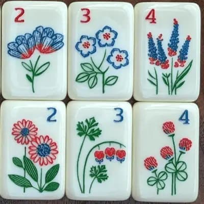 Mahjong Tile Material